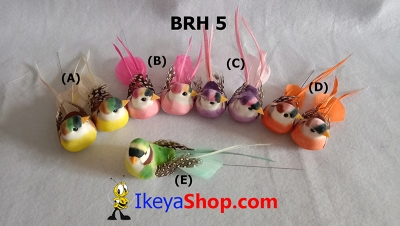 large2 BRH 5 c